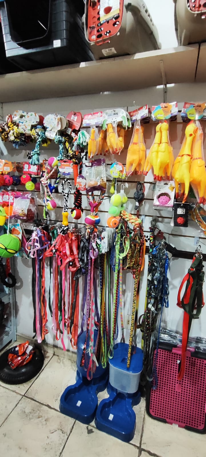 Brinquedos, coleiras e acessórios para pets