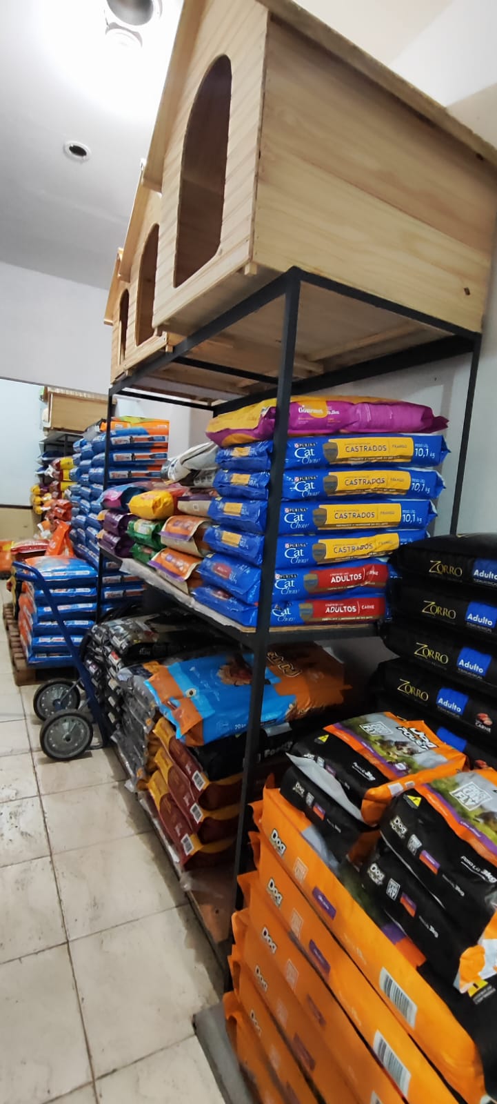 Ração para Gatos